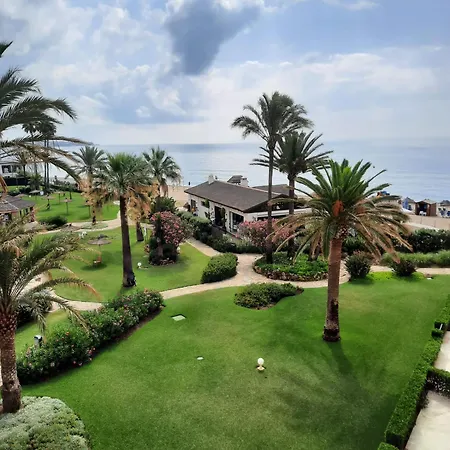 Mimosas Paradise *